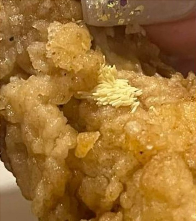 Couple In New Zealand Allegedly Finds Fly Eggs In KFC Chicken, Food Safety  Authorities Investigating