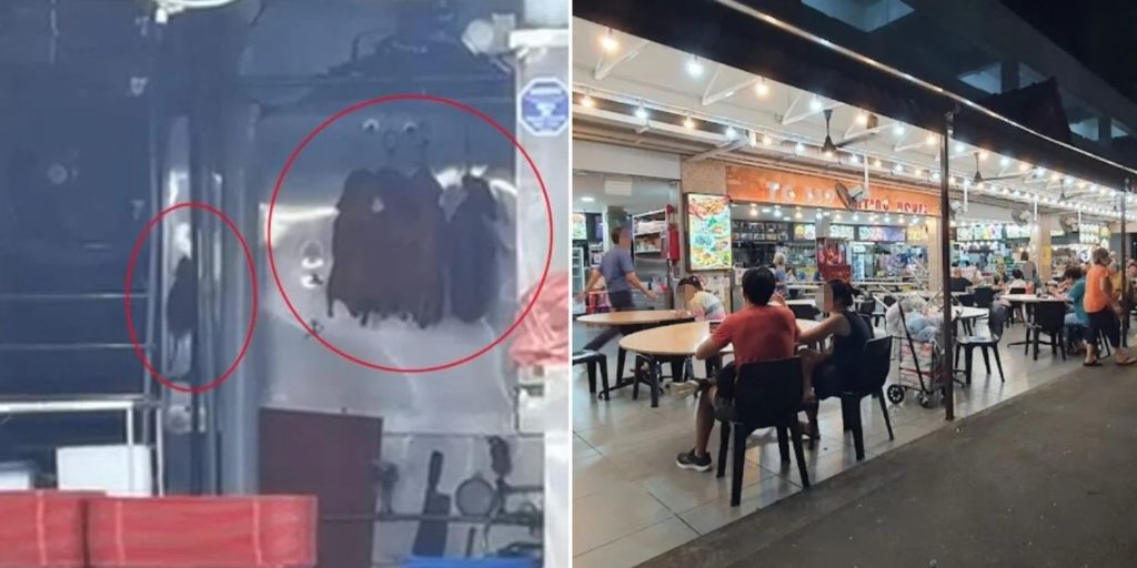 Rat Spotted In Ang Mo Kio Kopitiam Near Roast Ducks, Stall Says It's