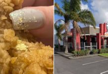 Couple In New Zealand Allegedly Finds Fly Eggs In KFC Chicken, Food Safety Authorities Investigating