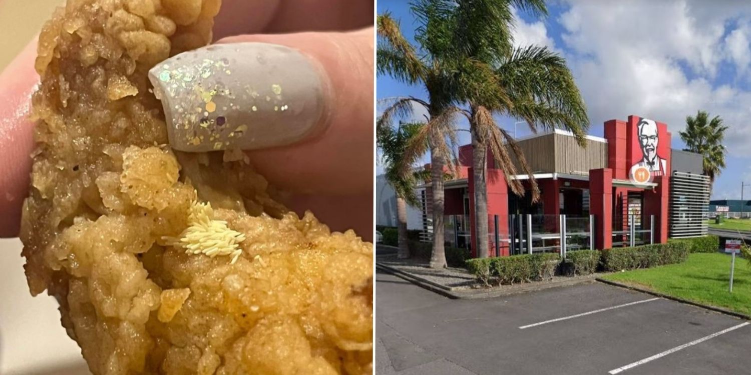 Couple In New Zealand Allegedly Finds Fly Eggs In KFC Chicken, Food Safety Authorities Investigating