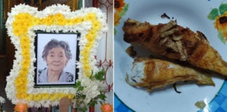 Elderly M'sian Woman Dies After Cooking & Eating Pufferfish, Husband Remains In ICU