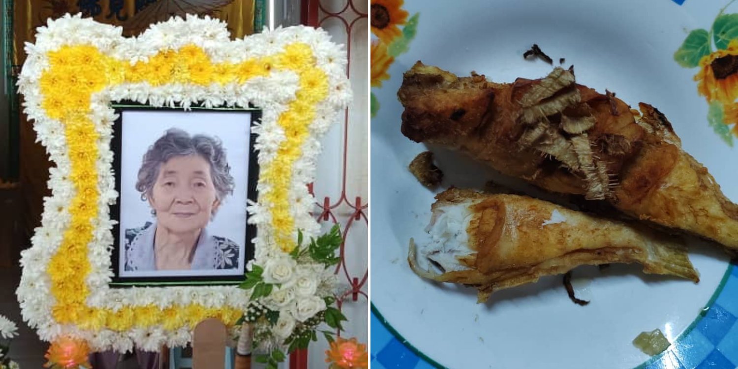 Elderly M'sian Woman Dies After Cooking & Eating Pufferfish, Husband Remains In ICU