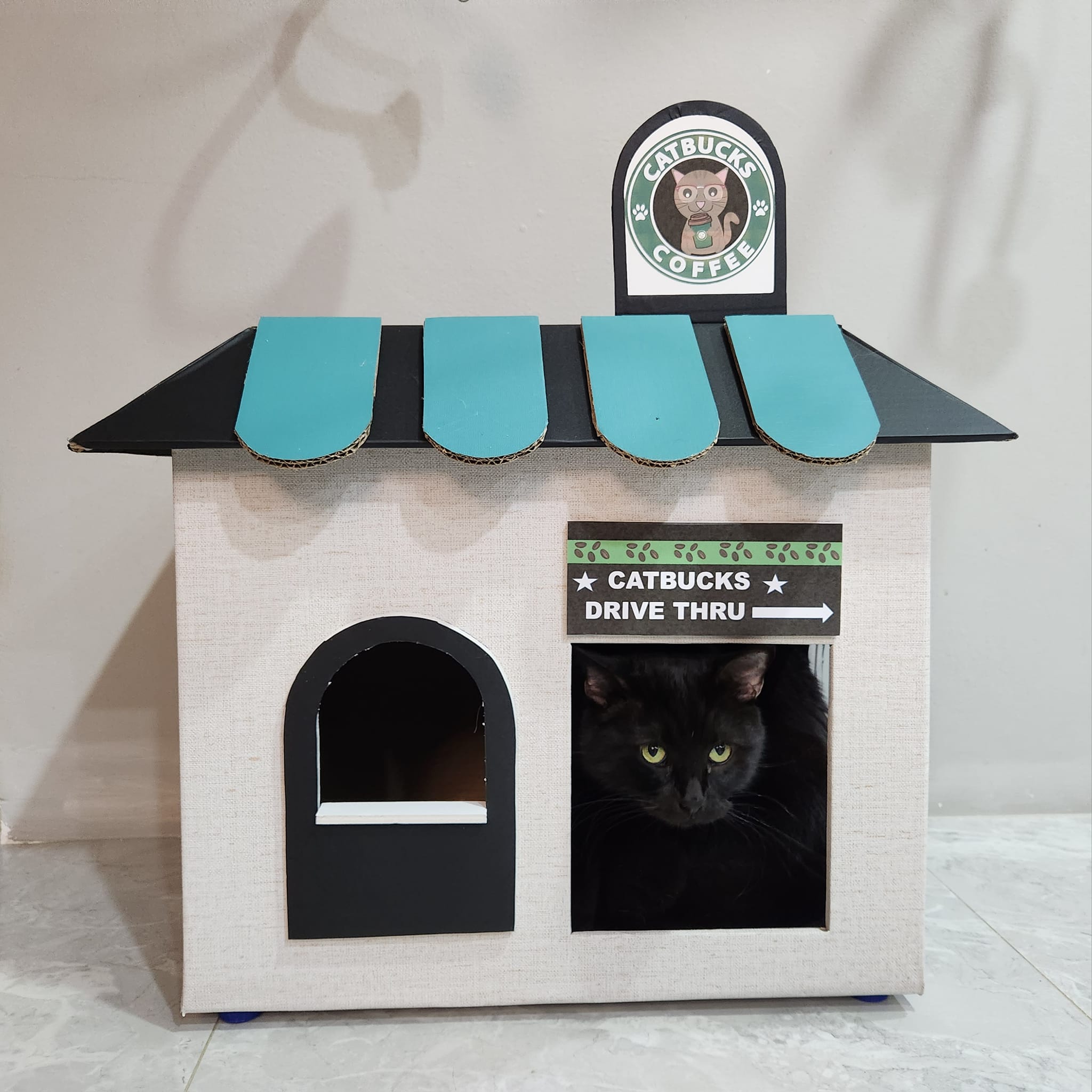 cardboard houses cats