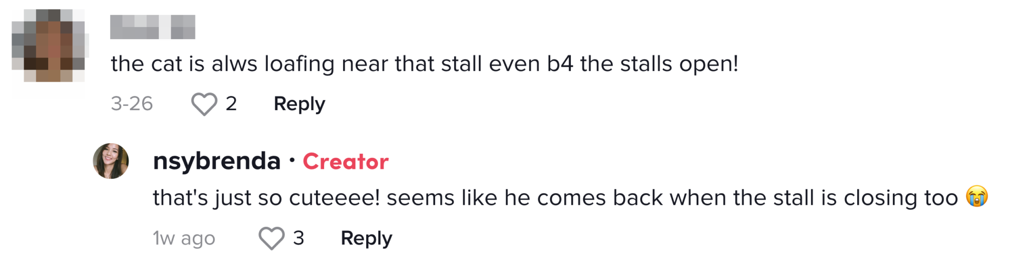 Pasir Ris Hawker Pets Community Cat When Cleaning Up Stall, Spends Time