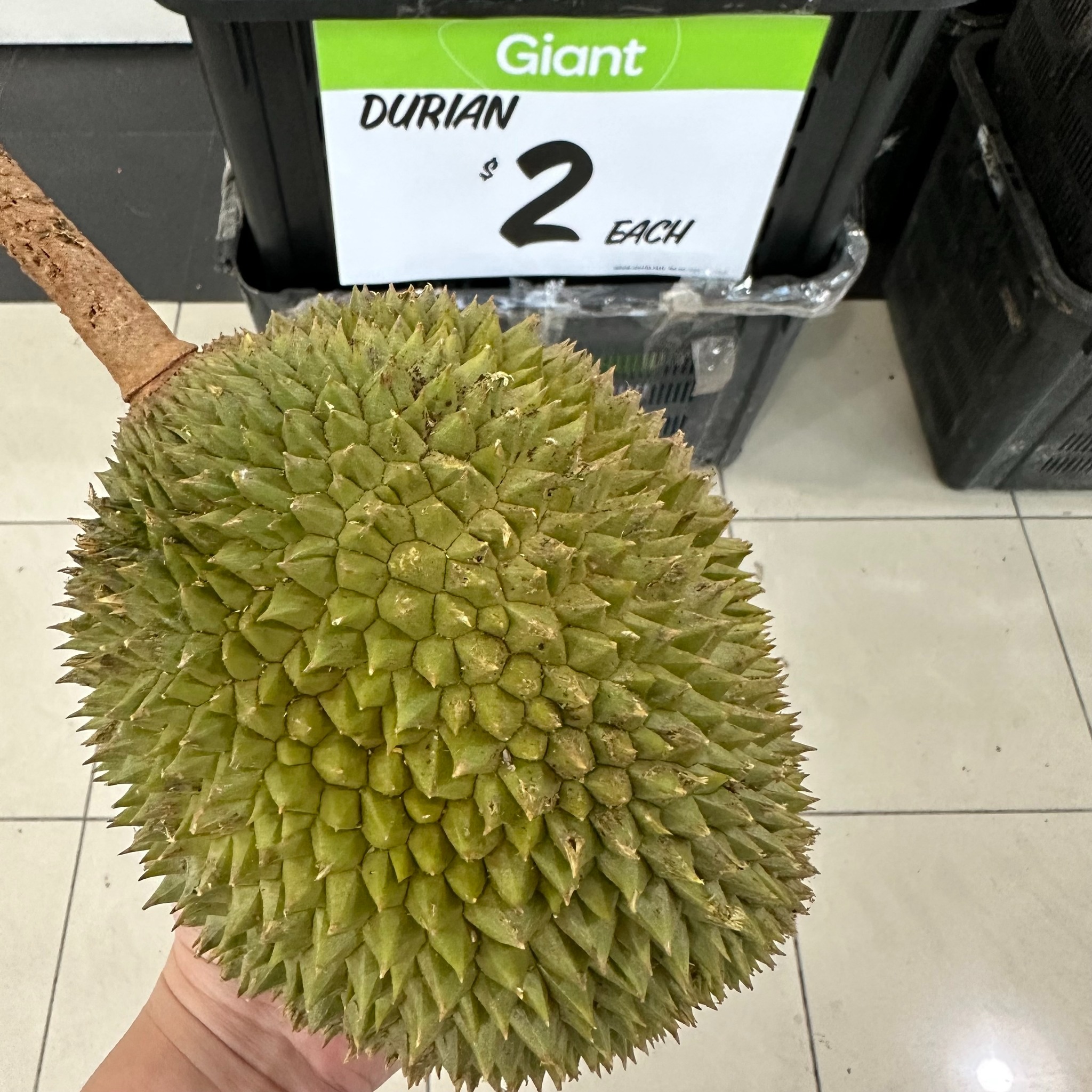 giant tampines durian sale