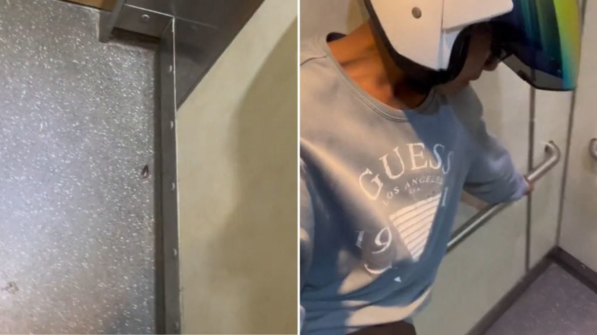 Food Delivery Rider Takes Lift With Cockroach, Jumps Onto Railings To Avoid  Pest