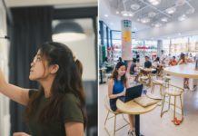 S'pore Youths Can 'Test Drive' Companies Under NTUC's New Career Trial Before Starting First Job