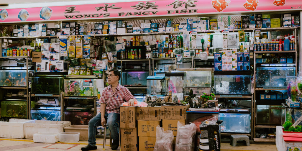 Kovan Aquarium Shop Owner Struggles With Learning Social Media, Can't