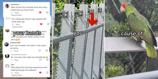 Bird Paradise Railings Allegedly Give Visitors Static Shock, Park Working To Improve Guest Experience