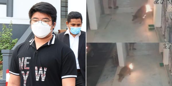 Johor High Court Dismisses Caning Sentence For M'sian Student Who Set Dog On Fire