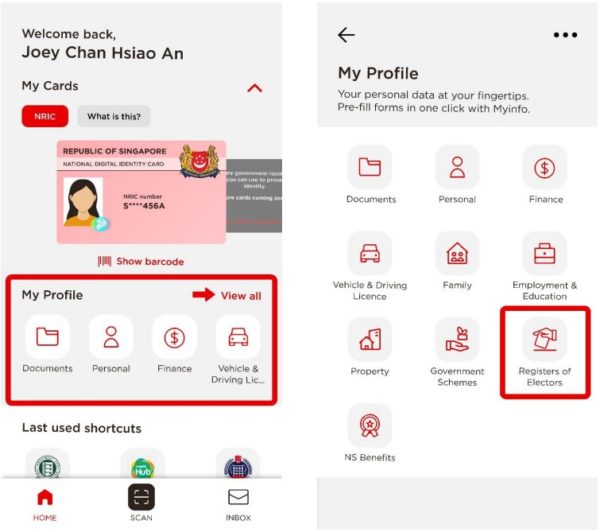 Registers Of Electors Open From 15 June, S'poreans To Check If They Can