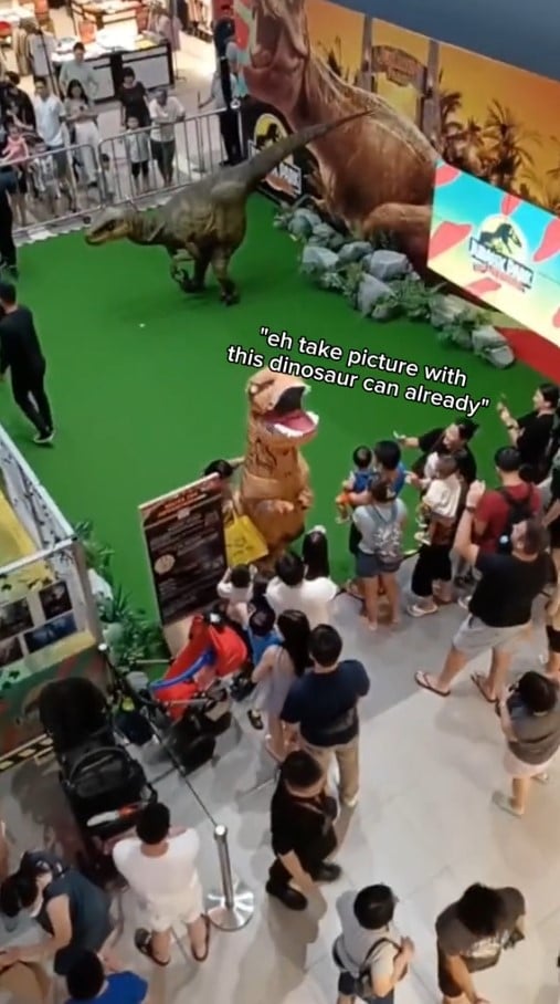 T-rex dinosaur take photo