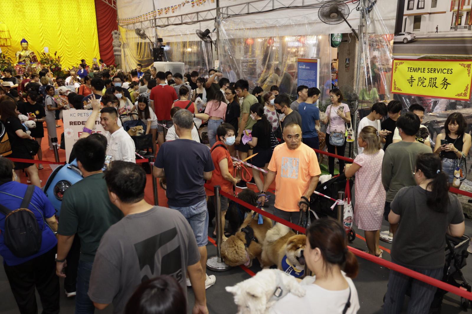 Pets Receive Blessings At Jalan Besar Temple On Vesak Day Eve, Owners ...