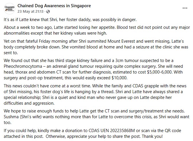 missing singaporean climber dog