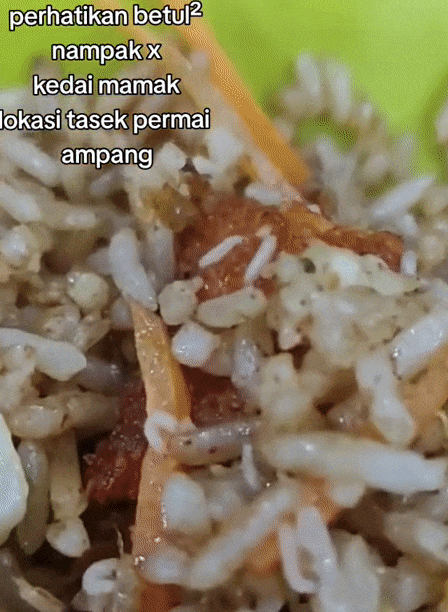 Maggots Found Crawling In Fried Rice Dish Allegedly Bought From Famous  Kuala Lumpur Eatery