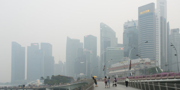 High Likelihood Of Severe Haze This Year, S'pore Institute Urges Public To Be Prepared