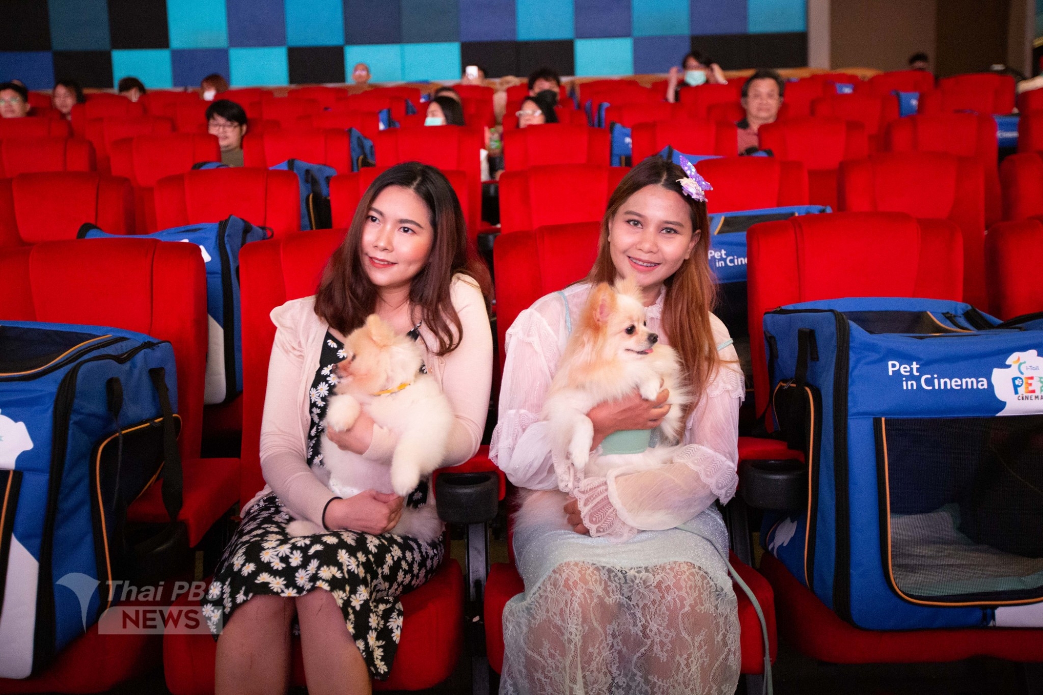 Thailand Now Has A Pet-Friendly Cinema, Furkids Can Hang Out & Watch Movies  With Owners