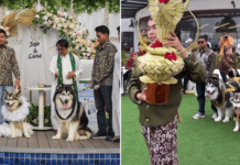 Indonesian Women Apologise After Their Dogs' 'Wedding' Sparks Backlash, Event Reportedly Cost S$18K