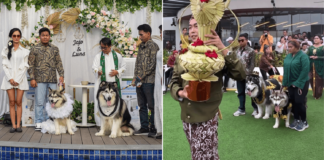 Indonesian Women Apologise After Their Dogs' 'Wedding' Sparks Backlash, Event Reportedly Cost S$18K
