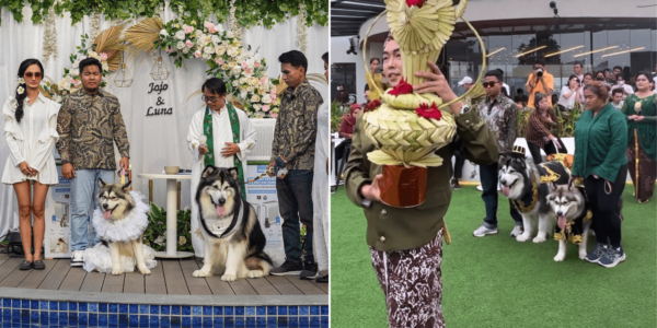 Indonesian Women Apologise After Their Dogs' 'Wedding' Sparks Backlash, Event Reportedly Cost S$18K
