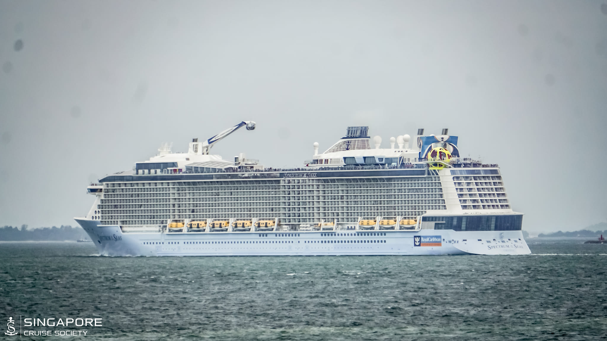 cruise ship passenger falls overboard spectrum of the seas