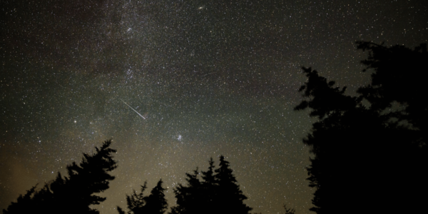 Perseid Meteor Shower Visible In S’pore on National Day, Brightest On 12 & 13 Aug
