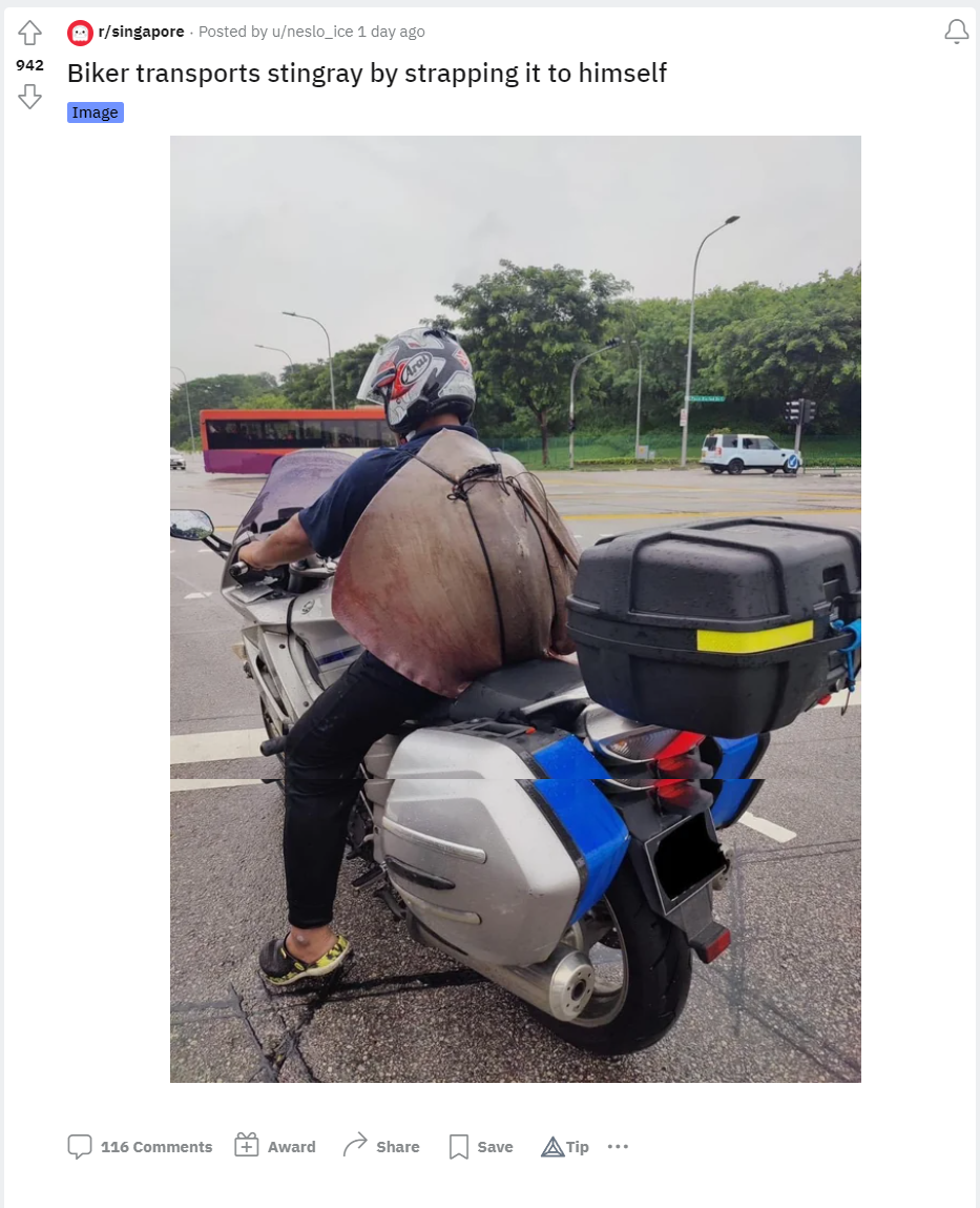 motorcyclist stingray back