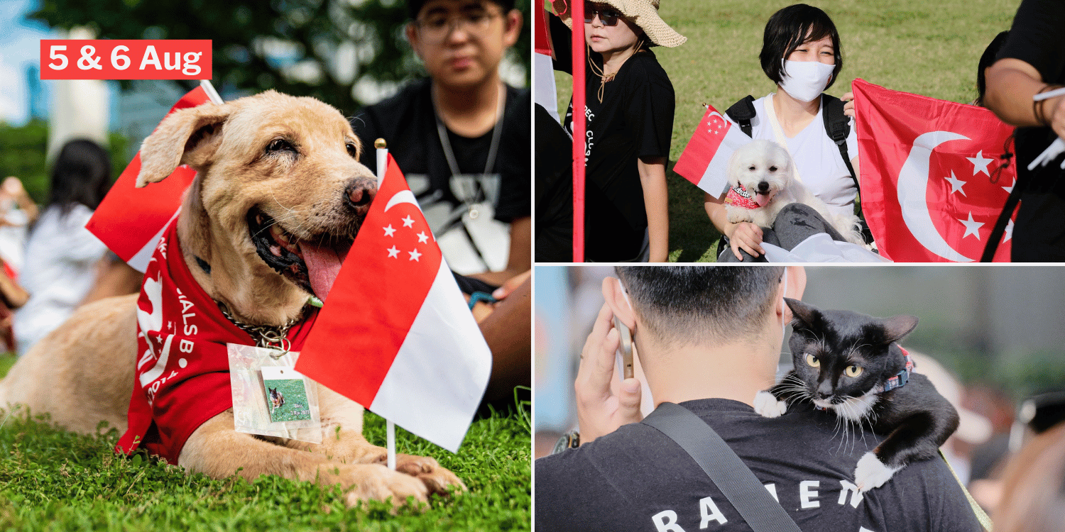 S'pore Pet Gathering Has Animal Marathon & Photobooths, Celebrate National Day With Your Furkids