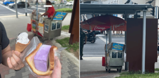 Woman Pays S$8 For 2 Items At Tampines Ice Cream Cart, S'poreans Shocked By Price
