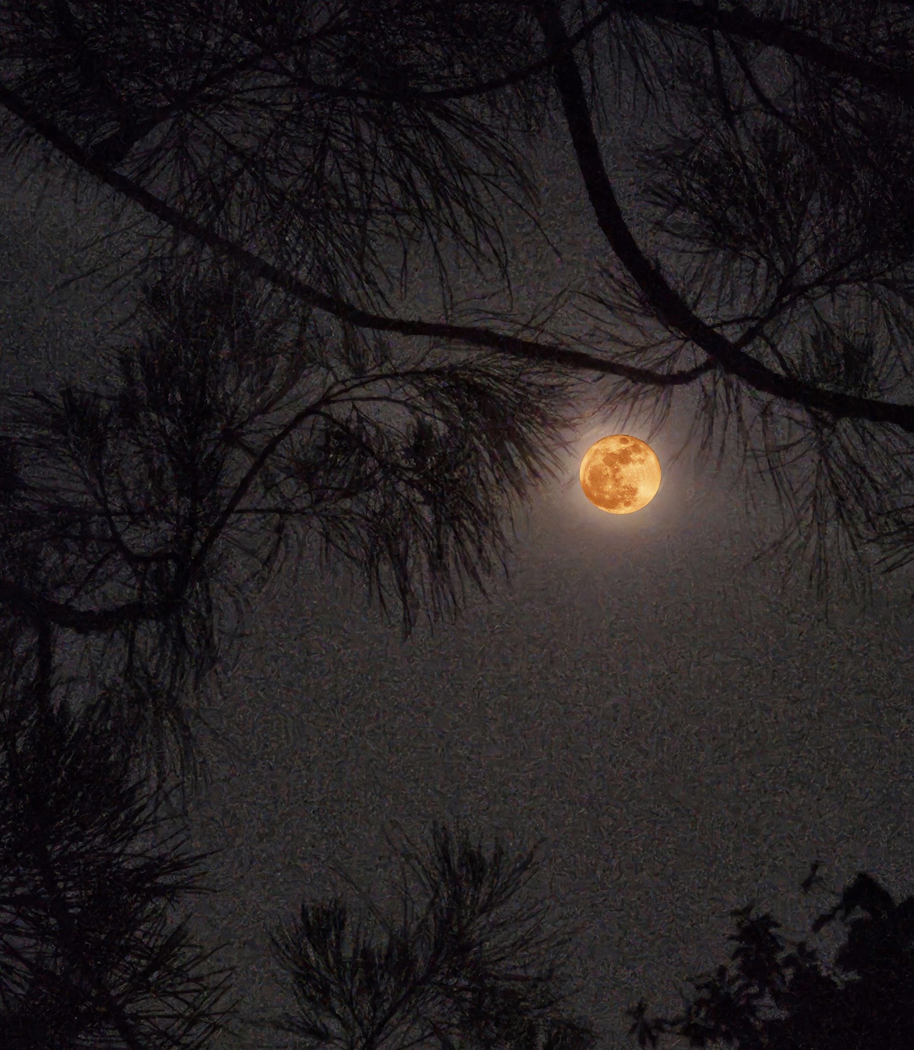 super blue moon Singapore