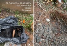 Dog Placed In Trash Bag For Burial At Joo Koon, Welfare Group Seeks Truth Behind Death