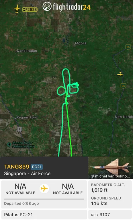 rsaf pilot penis