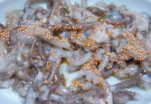 Elderly Man Chokes To Death After Eating Live Octopus In South Korea