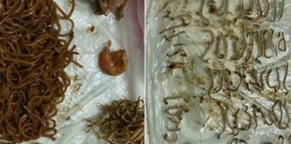 M’sian Plucks Out All 92 Beansprouts From Fried Noodles After Asking Hawker Not To Put Any