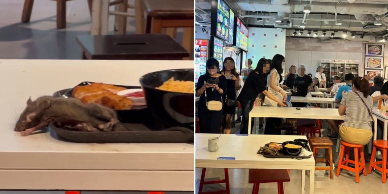Rat Seemingly Passed Out On Tray At Tangs Food Court, SFA Investigating