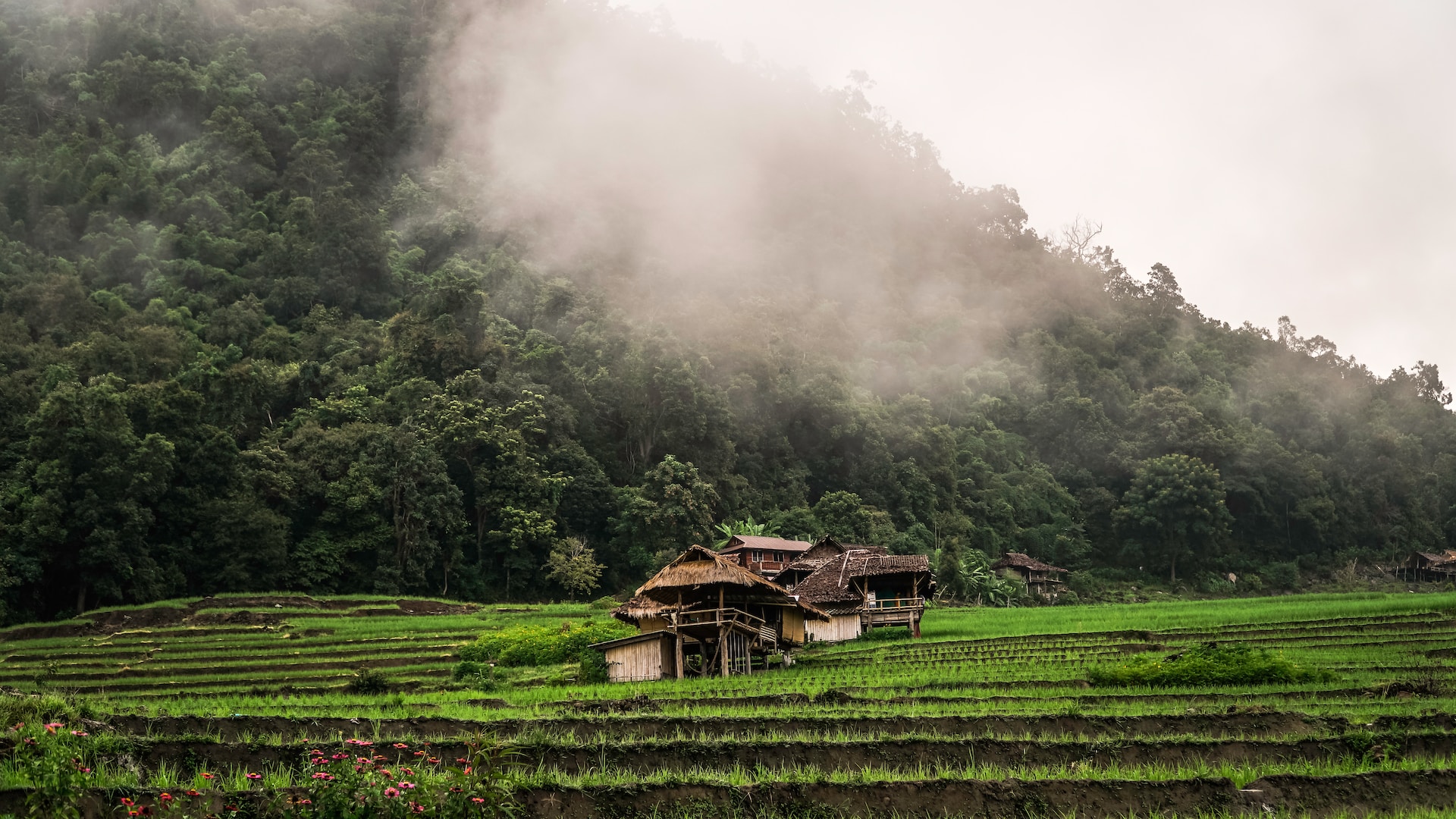 Thailand temperatures drop