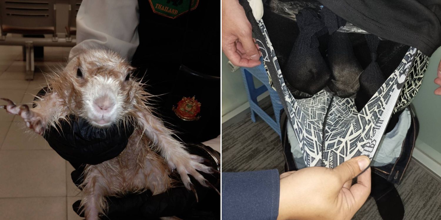 Man Allegedly Tries To Smuggle Otters In Boxers Out Of Thailand