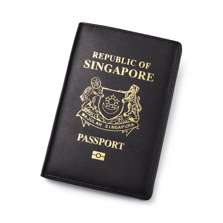 Taobao Singapore passport cover