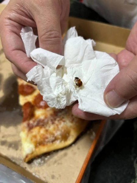 Cockroach Crawls From Pizza By Little Caesars Funan, Pizzeria ...