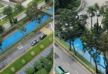 PUB Investigating Unusual 'Blue Water' Seen In Bukit Timah Canal On 17 Jan, No Abnormalities Detected