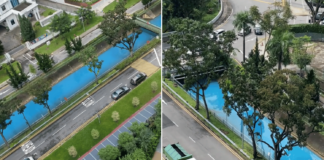 PUB Investigating Unusual 'Blue Water' Seen In Bukit Timah Canal On 17 Jan, No Abnormalities Detected