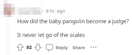 pangolin baby