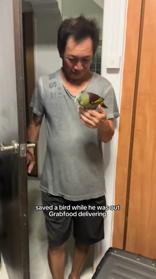 delivery rider rescues bird
