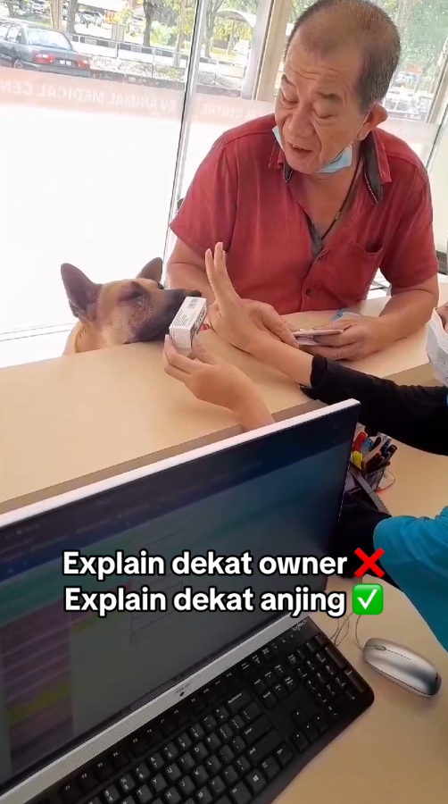 dog nurse medication instructions