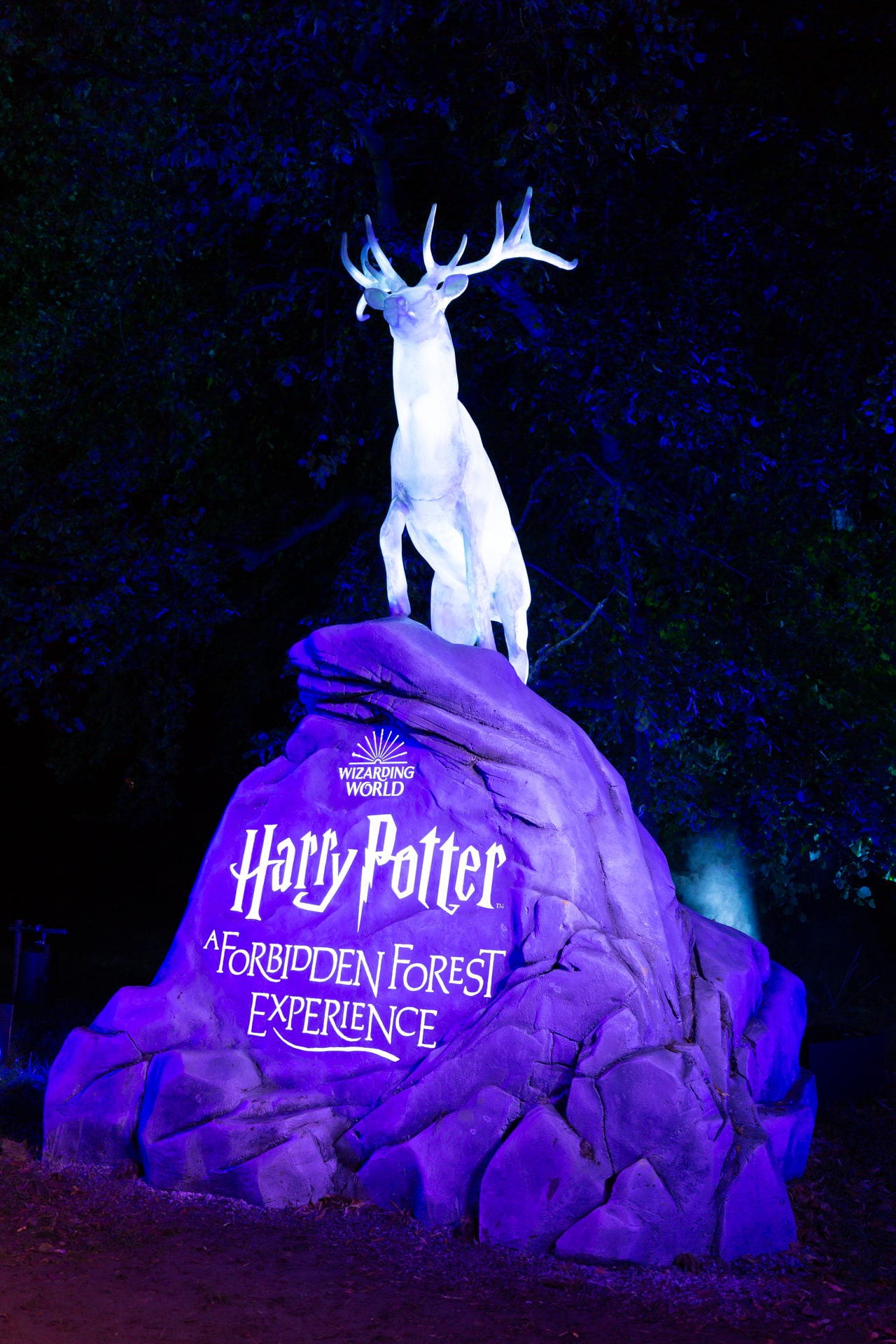5 Magical Experiences To Look Forward To At 'Harry Potter: A Forbidden ...