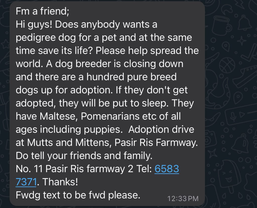 dog adoption false