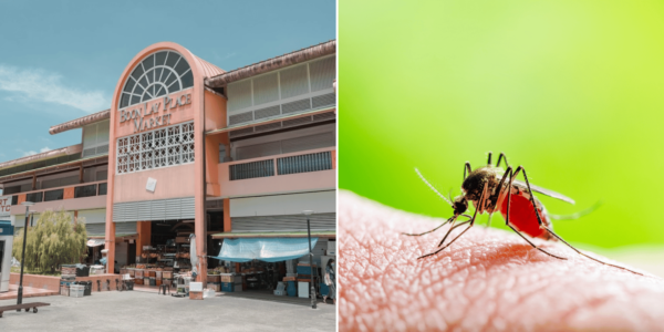 Boon Lay Place being monitored for potential Zika transmission, residents should watch their health