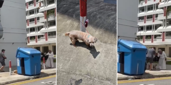 'A real heroine': Woman praised for confronting man who left dog leashed outside Jurong coffeeshop in hot sun