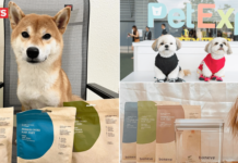 Where to get free premium dog food & other exciting perks at this year’s PetExpo