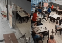 Monitor lizards enter yong tau foo eatery in JB, patrons jump on furniture in fright